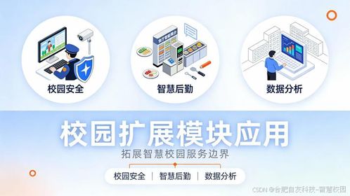 智慧校園建設(shè)模式深度分析 自研、外包與合作開發(fā)的選擇智慧